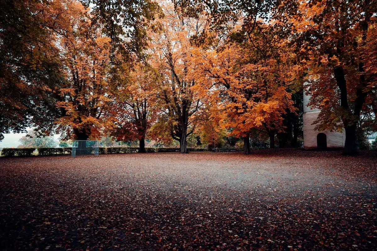 mode automne