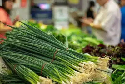 Découvrez la recette détaillée de la cébette d'oignon