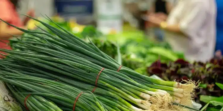 Découvrez la recette détaillée de la cébette d'oignon