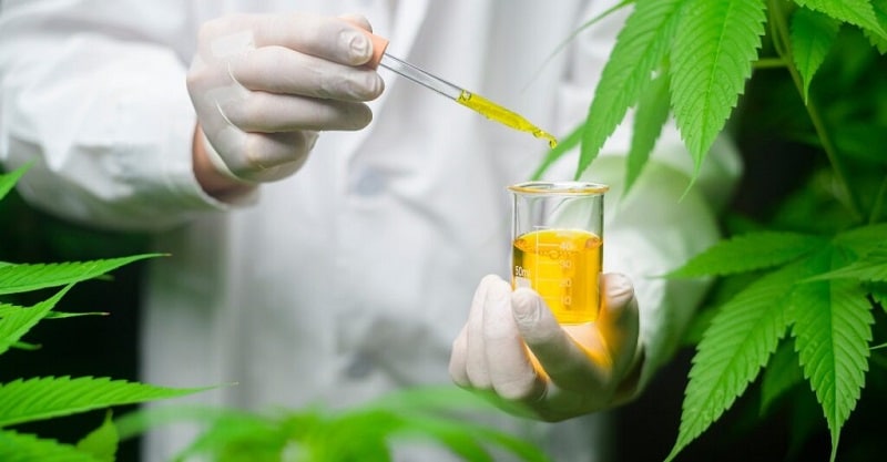 Découvrez les avantages de l'huile de CBD pour votre santé