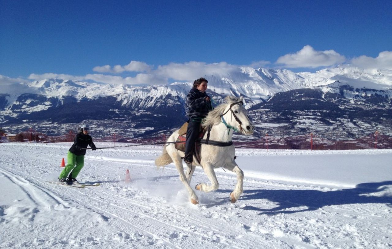 Un cavalier avec son compagnon de ski attelé