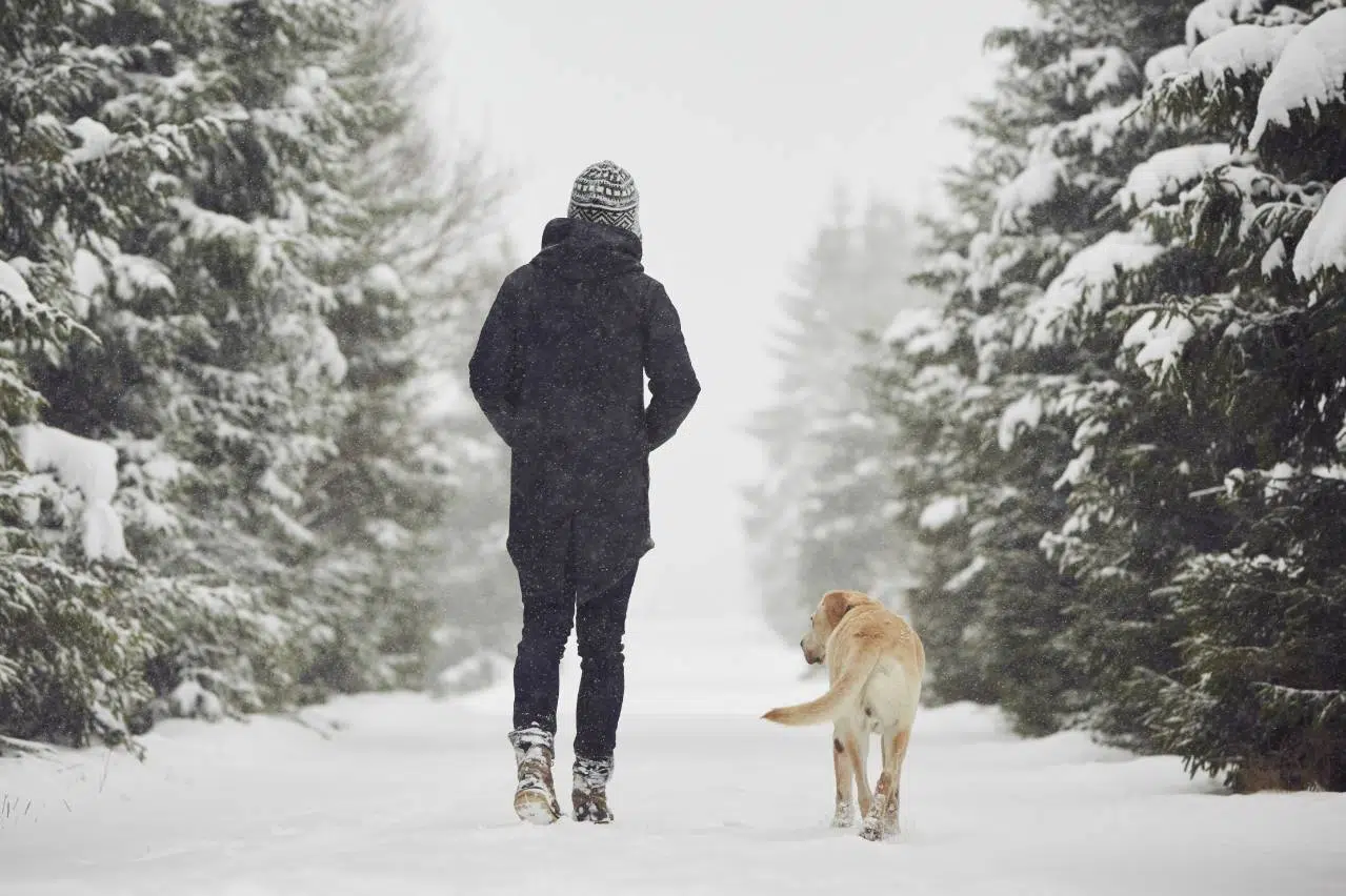 Un homme vêtu de son manteau d'hiver en compagnie de son chien