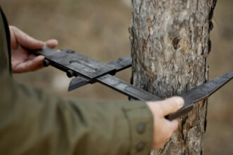 Taille du noyer : quand intervenir pour ne pas fragiliser l'arbre ?
